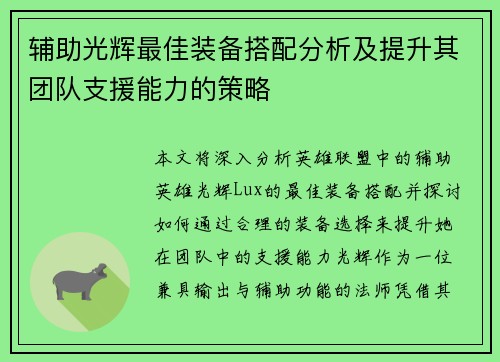 辅助光辉最佳装备搭配分析及提升其团队支援能力的策略